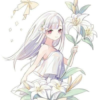 伊方涉伊美谈判最新回应